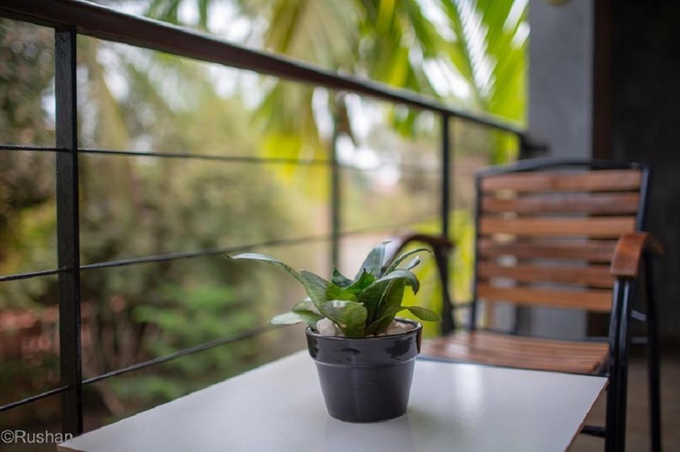 Apsara Greenland Boutique Villa & Resort 시엠리아프 외부 사진