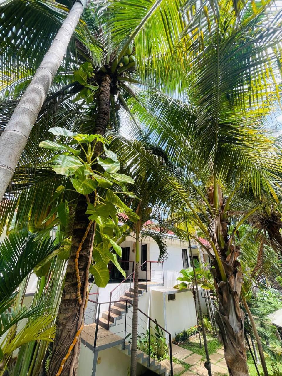 Apsara Greenland Boutique Villa & Resort 시엠리아프 외부 사진